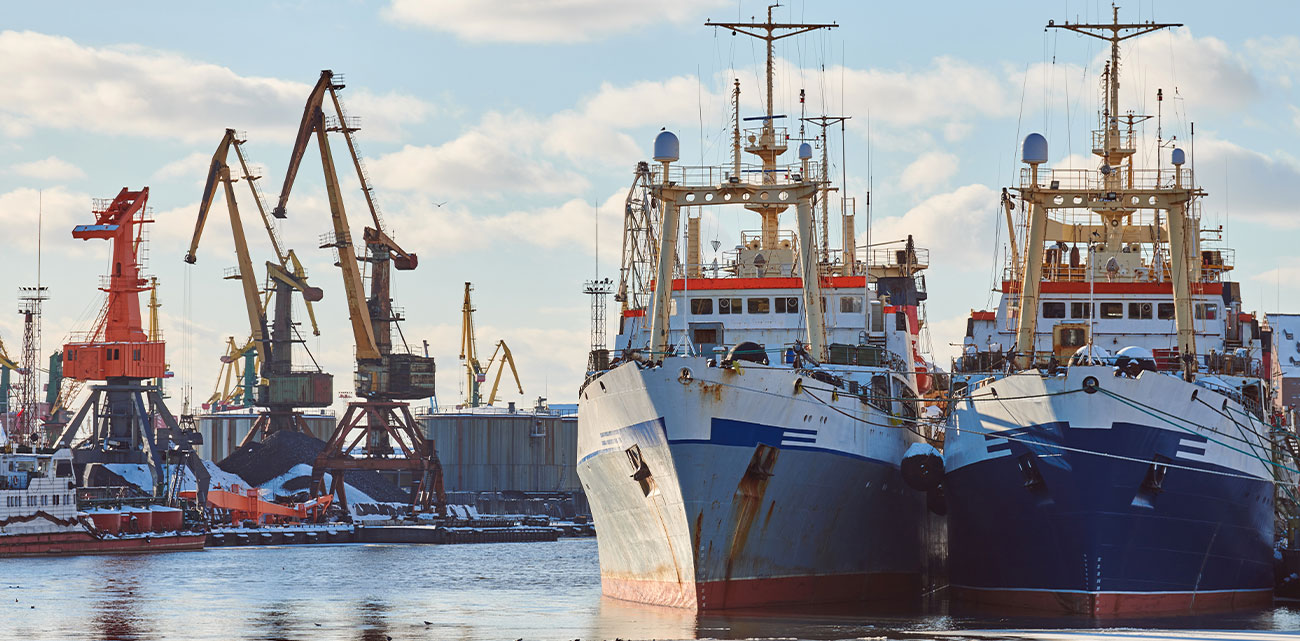 ANIRA Shipping Services - Φύλαξη κατασχεμένων πλοίων