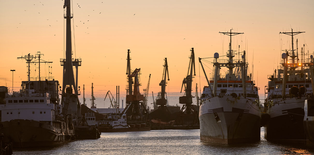 ANIRA Shipping Services - Φύλαξη κατασχεμένων πλοίων