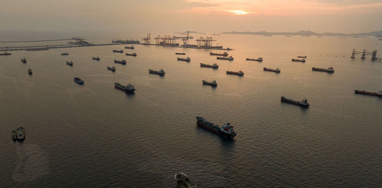 ANIRA Shipping Services - Φύλαξη πλοίων κατά τη διάρκεια του παροπλισμού, κατάπλου στους λιμένες